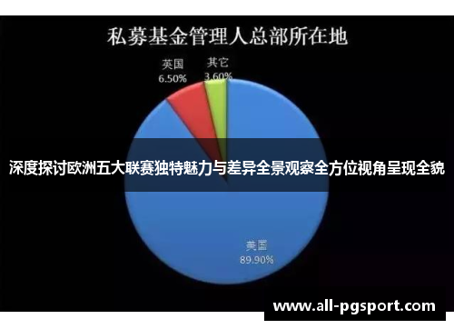 深度探讨欧洲五大联赛独特魅力与差异全景观察全方位视角呈现全貌