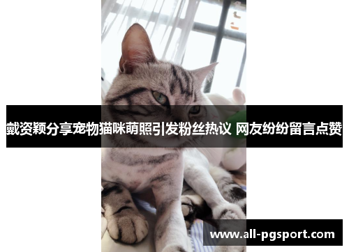 戴资颖分享宠物猫咪萌照引发粉丝热议 网友纷纷留言点赞